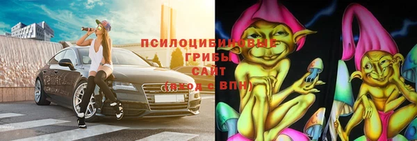стафф Абинск