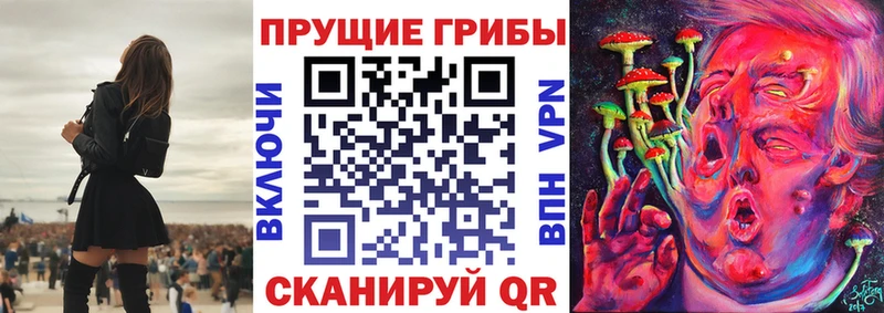 mega маркетплейс  Ак-Довурак  Галлюциногенные грибы GOLDEN TEACHER 